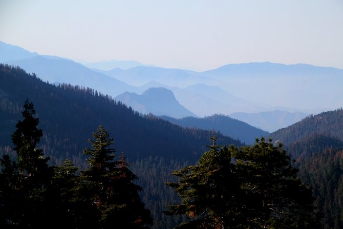 IMG_2477