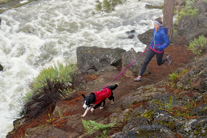 Ruffwear Roamer Leash 2