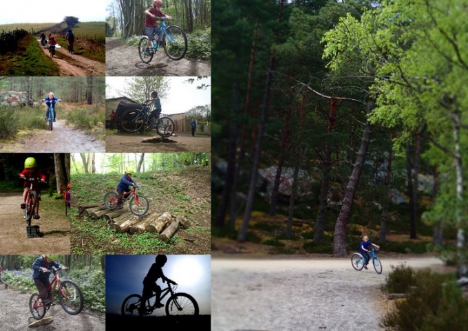 Isla Bikes Collage