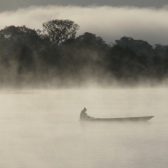 Mazungu Dawn