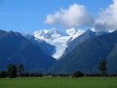 Fox Glacier New Zealand