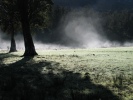 Mist at Lake Mattheson NZ