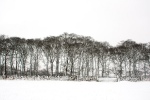 Snowy Fields at Ringinglow