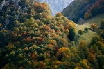 Spain - Autumn colours, Los Beyos, Ponga