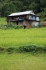 Mitlung Lodge Nepal