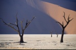 Namib Desert