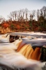 A flooded river Swale in Richmond