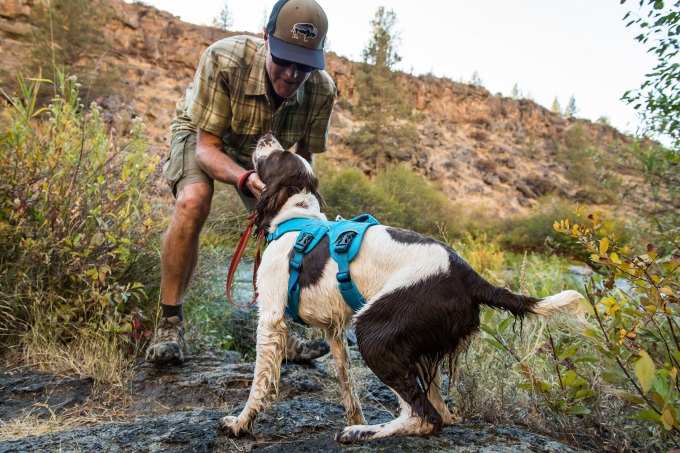 Ruffwear Webmaster Harness2