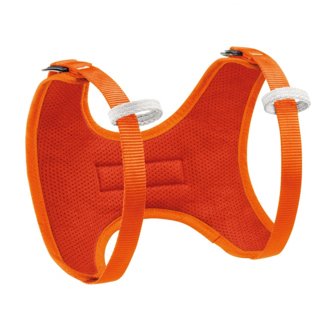 Petzl Body Harness