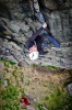 Will Foreman on The Rasp E2 5b - Higgar Tor