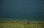 High mountain lake on the Desoai plains - Pakistan