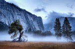 Misty Morning -Yosemite