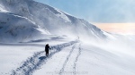 Alpine feel to Aonach Beag - North West Highlands of Scotland