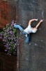 Nick Dixon on his own cutting edge rock route Gathering Sun at Nesscliffe in Shropshire small