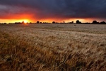 A summer downpour creates this amazing light over the farmland of Essex