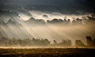 Beauty in the Back Yard - Longshaw Estate, Derbyshire