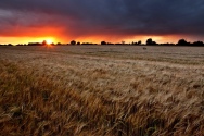 A summer downpour creates this amazing light over the farmland of Essex